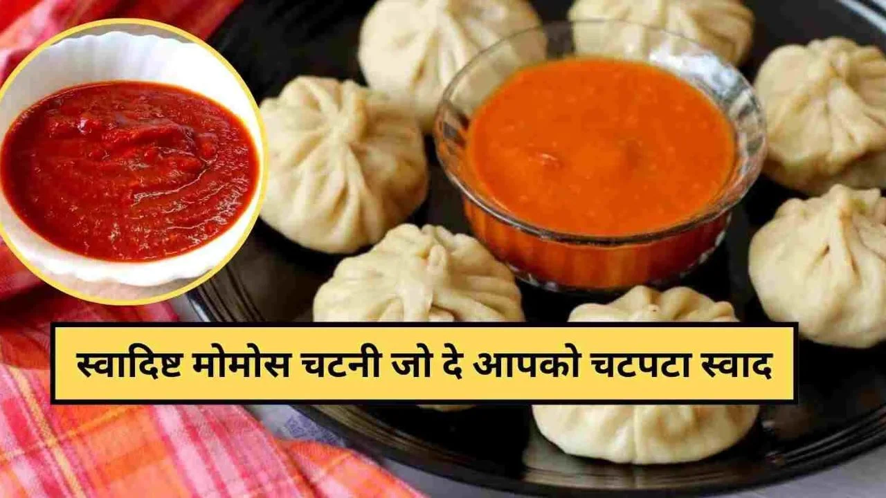 Momos Chutney Recipe in Hindi