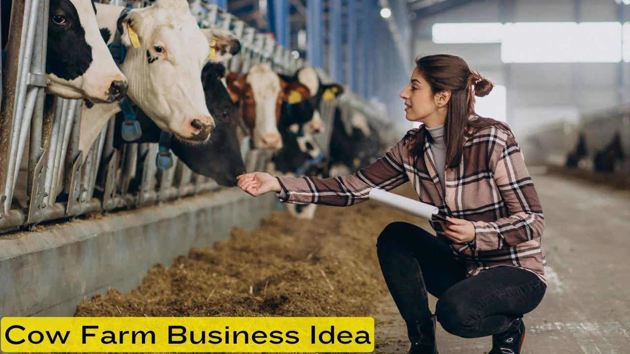 Cow Farm Business Idea