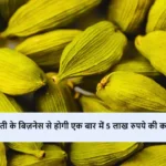 Cardamom Farming Business Idea